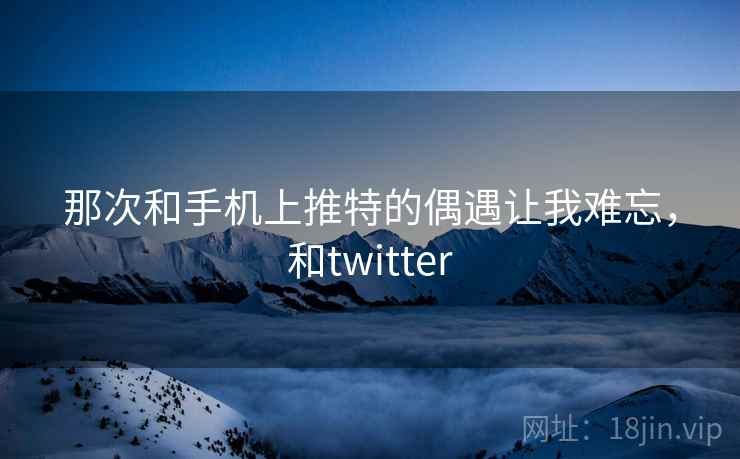 那次和手机上推特的偶遇让我难忘,和twitter