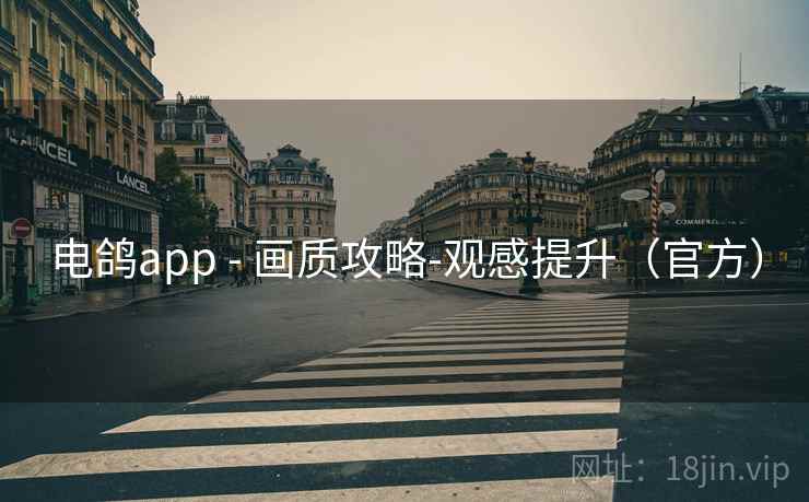 电鸽app - 画质攻略-观感提升(官方)