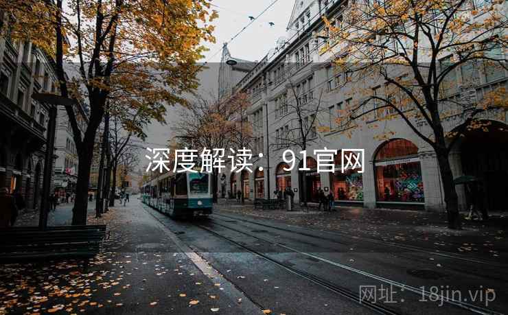 深度解读:91官网 深度解读:91官网