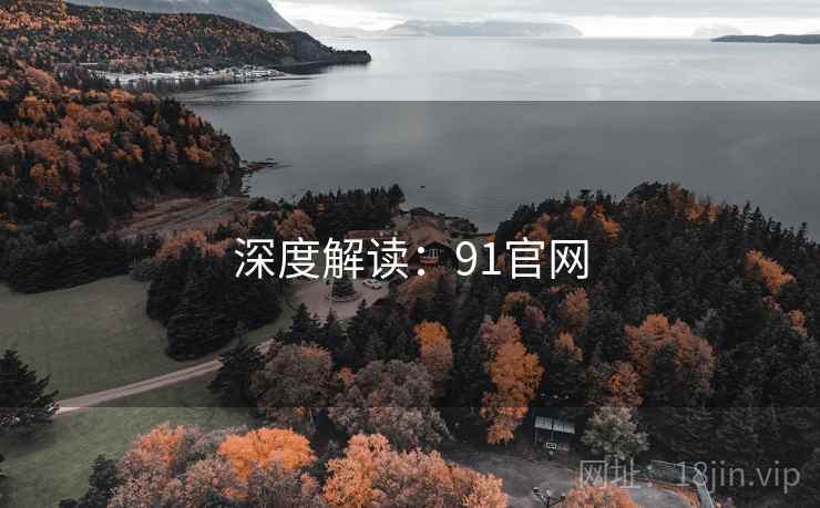 深度解读:91官网 深度解读:91官网